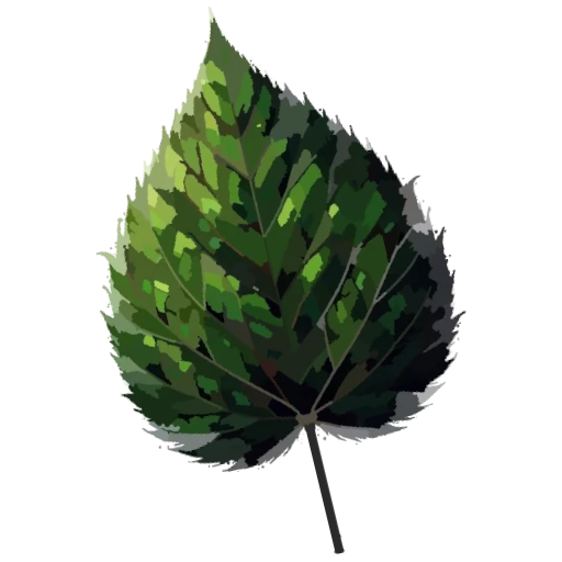 Fairy Leaf